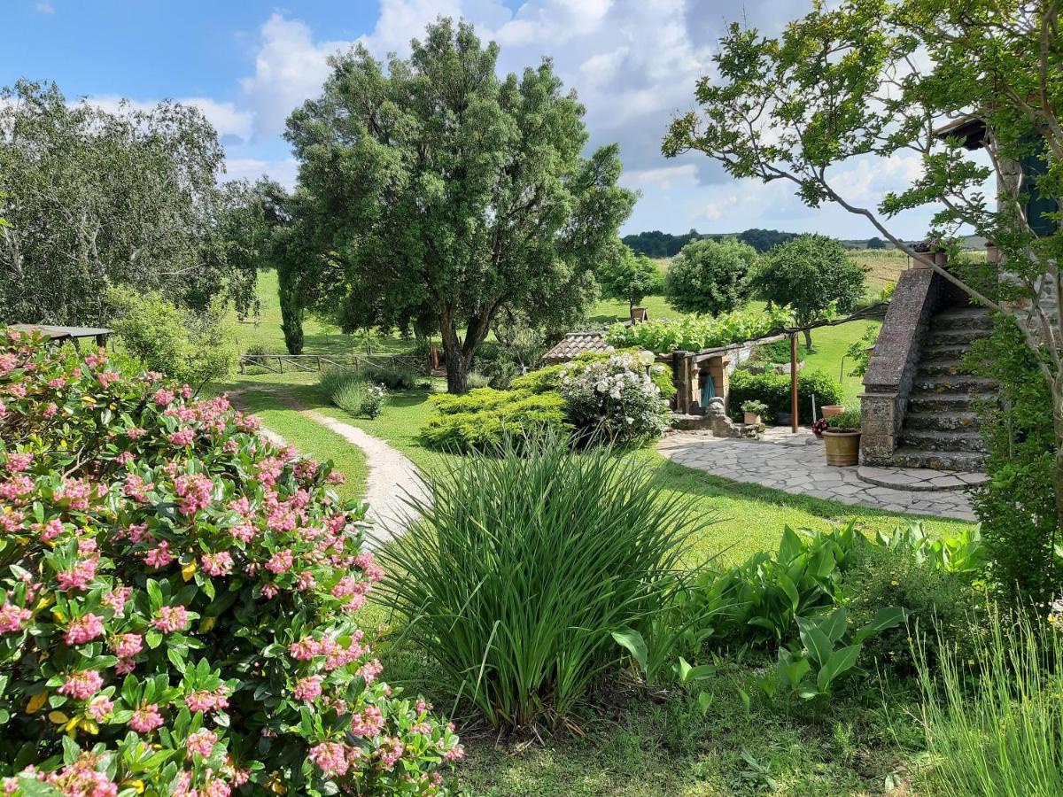 Agriturismo Cantinaccia Di Sopra Питильяно Экстерьер фото