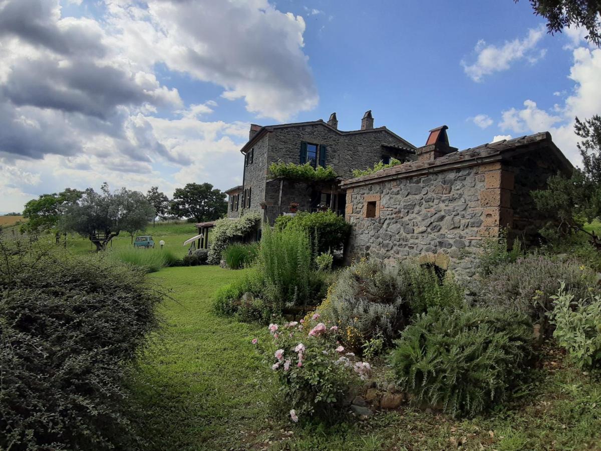 Agriturismo Cantinaccia Di Sopra Питильяно Экстерьер фото