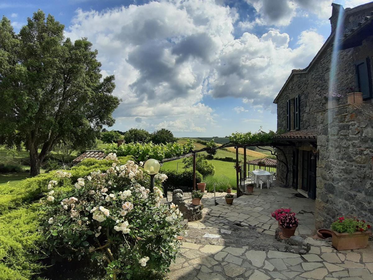 Agriturismo Cantinaccia Di Sopra Питильяно Экстерьер фото