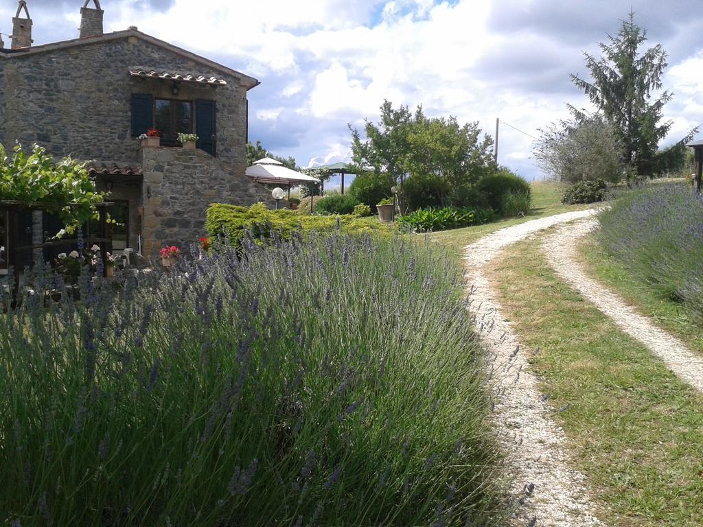Agriturismo Cantinaccia Di Sopra Питильяно Экстерьер фото