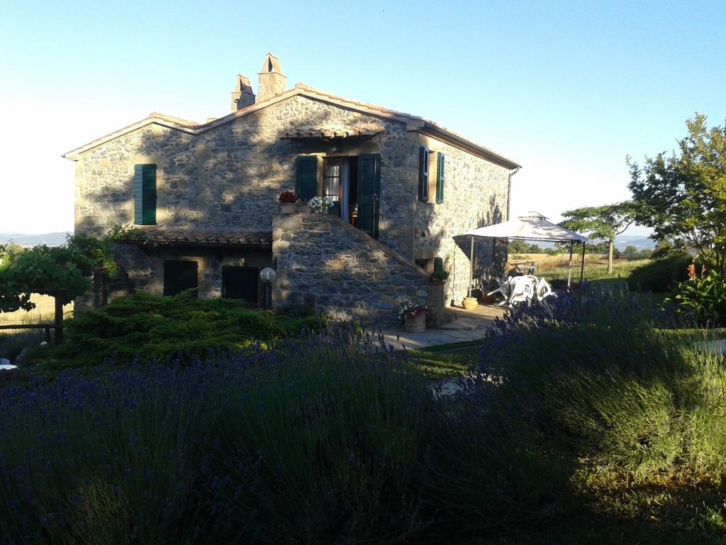 Agriturismo Cantinaccia Di Sopra Питильяно Экстерьер фото