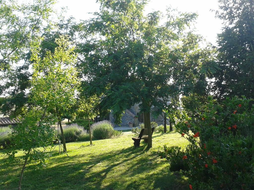 Agriturismo Cantinaccia Di Sopra Питильяно Экстерьер фото